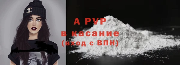 мяу мяу мука Белокуриха